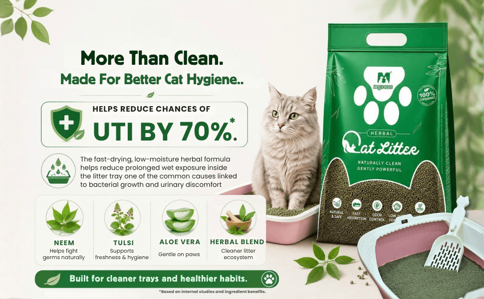 MySons Cat Litter Herbal 5kg | Fast Clumping Cat Litter with Odour Control | Low Dust Premium Cat Toilet Sand | Gentle on Paws | Easy Cleanup for Cats & Kittens - Image 3